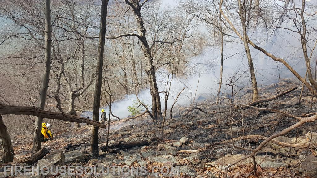 Forestry Call on 2nd Mountain Dauphin County